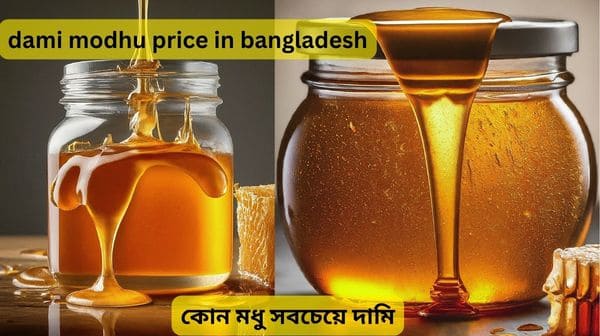 dami modhu price in bangladesh