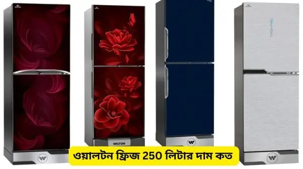 ওয়ালটন ফ্রিজ 250 লিটার দাম কত 2024